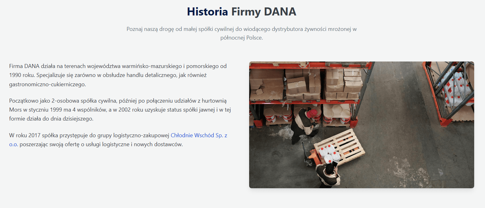 Sekcja o firmie DANA